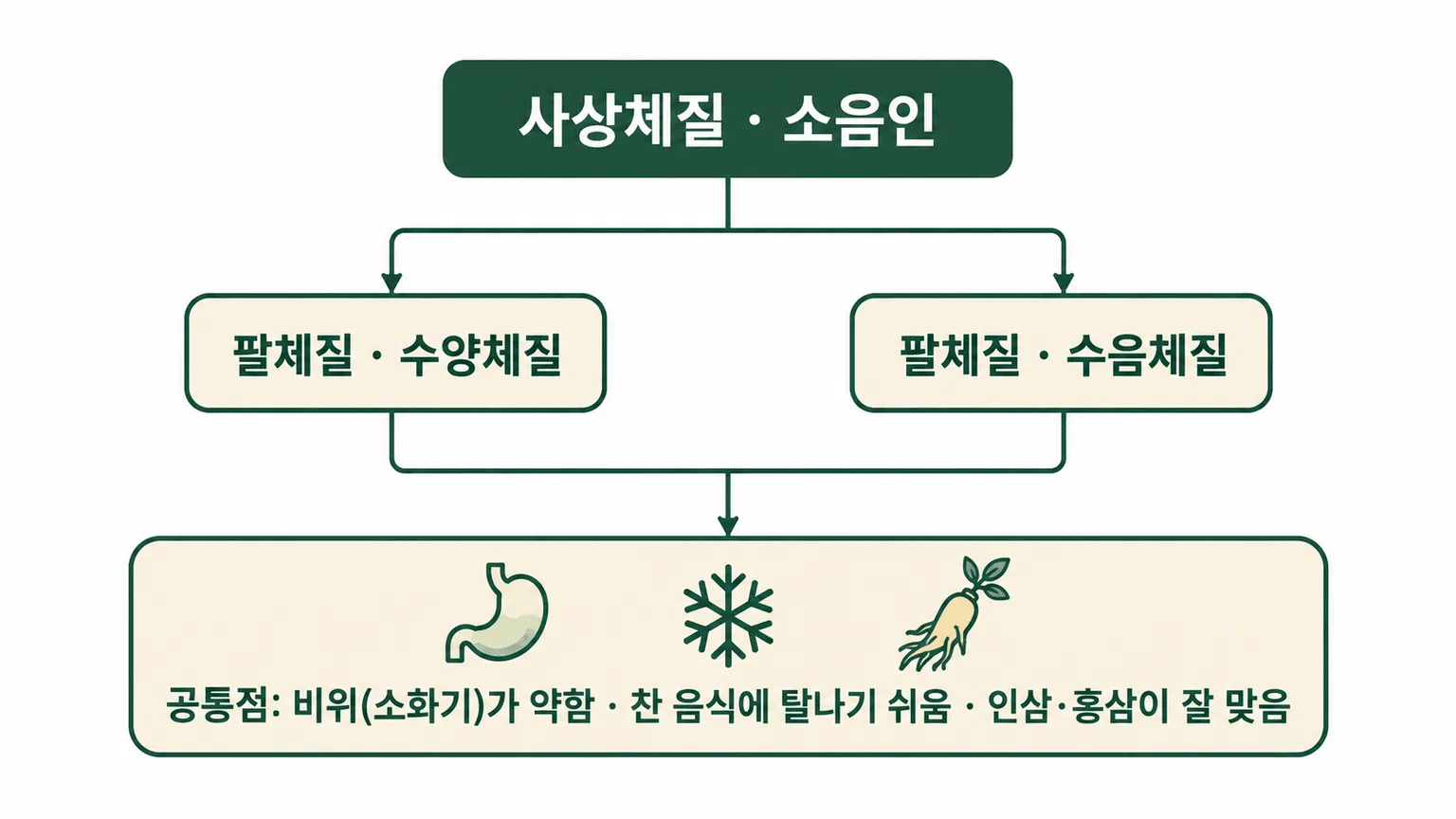 소음인과 팔체질 수양·수음체질의 대응 관계 개념도