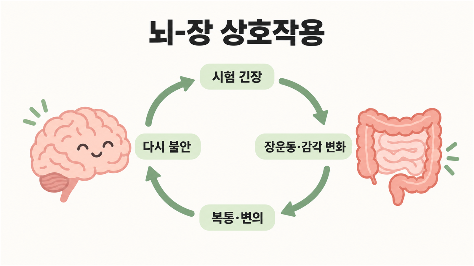 뇌-장 상호작용 순환 개념도