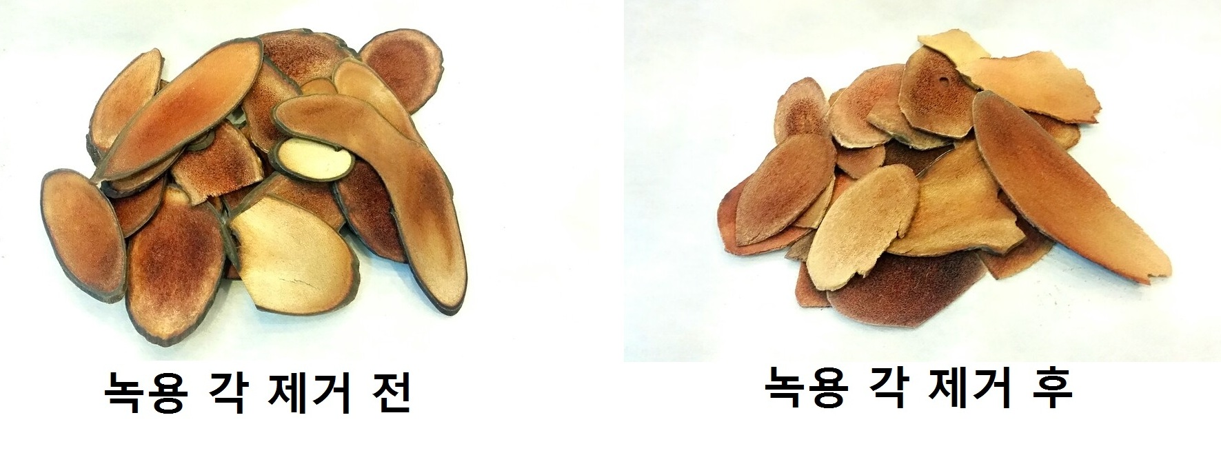 공진단 조제를 위해 녹용의 각질 부분을 제거하기 전과 제거한 후를 비교한 실제 사진