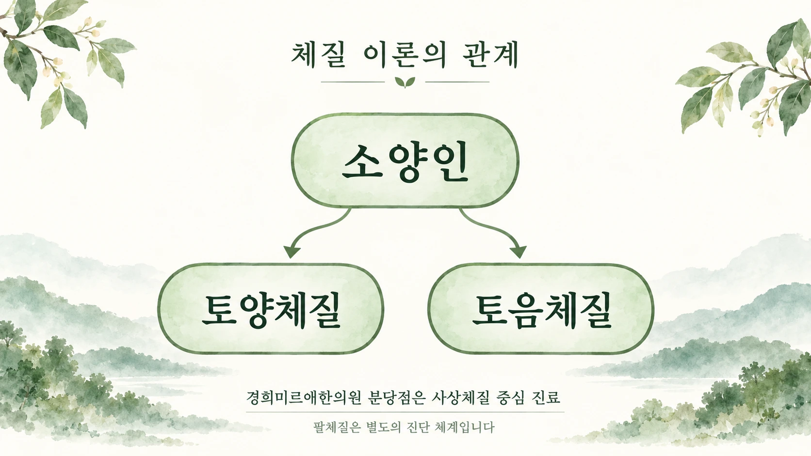 소양인과 토양체질 토음체질의 관계도